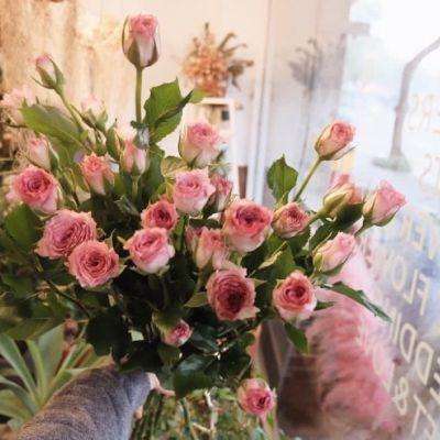 AOA体育下载手机版